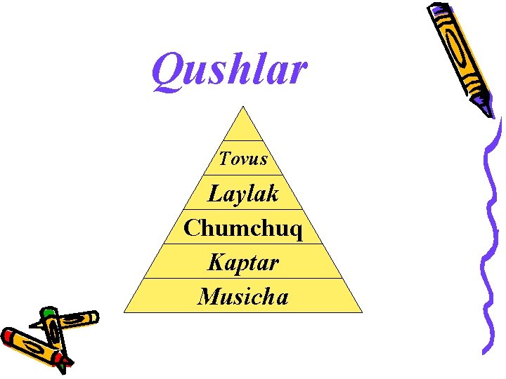 Qushlar Tovus Laylak Chumchuq Kaptar Musicha 