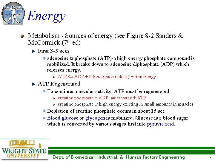 Energy Metabolism - Sources of energy (see Figure 8 -2 Sanders & Mc. Cormick