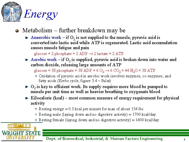 Energy Metabolism – further breakdown may be Anaerobic work – if O 2 is