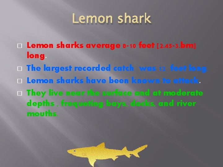 Lemon shark � � Lemon sharks average 8 -10 feet [2. 45 -3. bm]