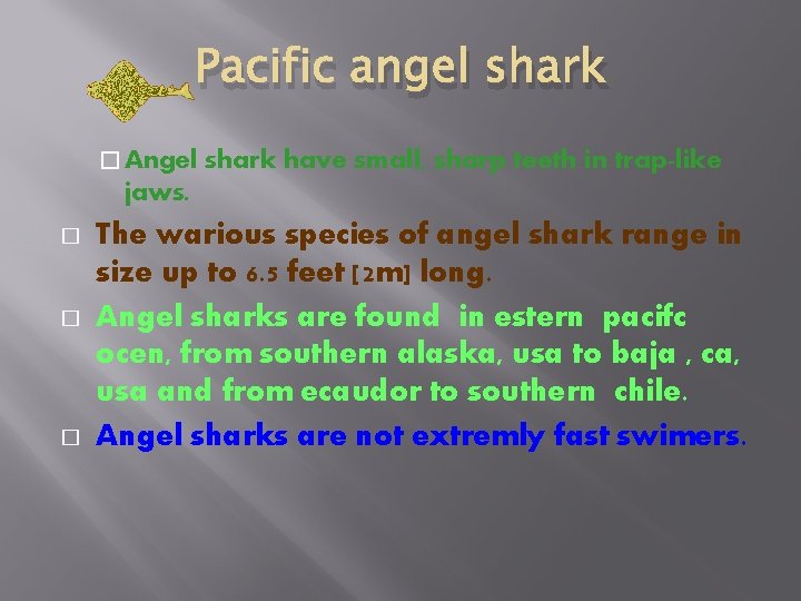 Pacific angel shark � Angel shark have small, sharp teeth in trap-like jaws. �