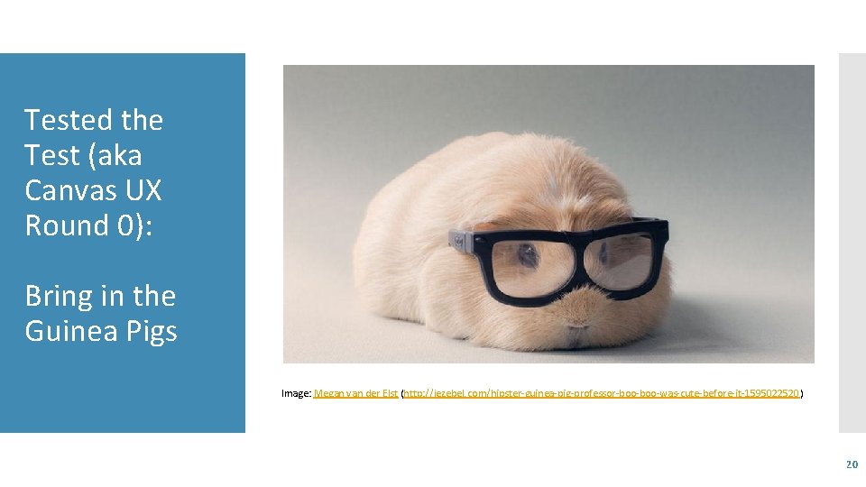 Tested the Test (aka Canvas UX Round 0): Bring in the Guinea Pigs Image: