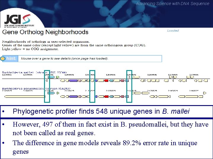 Advancing Science with DNA Sequence • Phylogenetic profiler finds 548 unique genes in B.