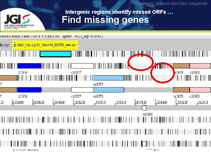Advancing Science with DNA Sequence Intergenic regions identify missed ORFs … Find missing genes