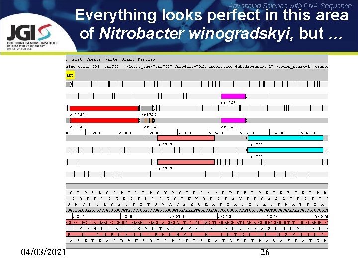 Advancing Science with DNA Sequence Everything looks perfect in this area of Nitrobacter winogradskyi,