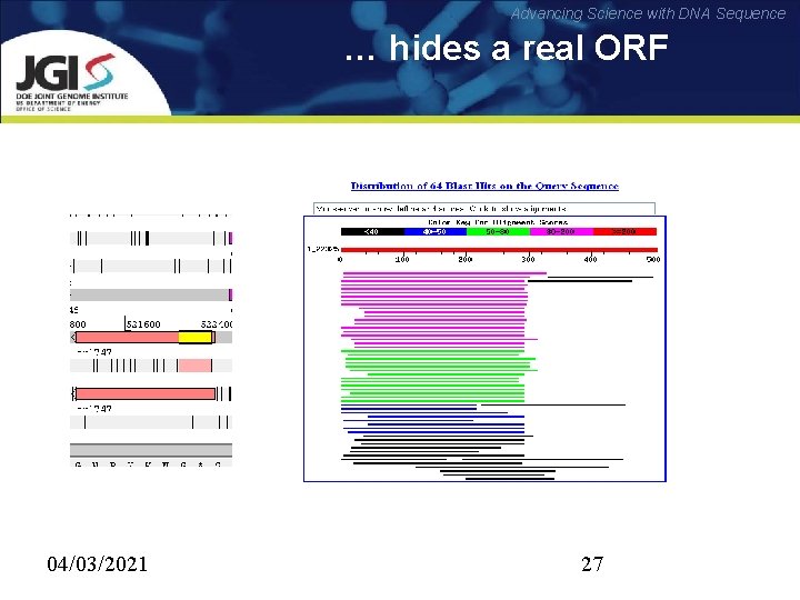Advancing Science with DNA Sequence … hides a real ORF 04/03/2021 27 