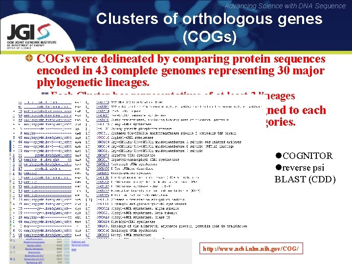 Advancing Science with DNA Sequence Clusters of orthologous genes (COGs) COGs were delineated by
