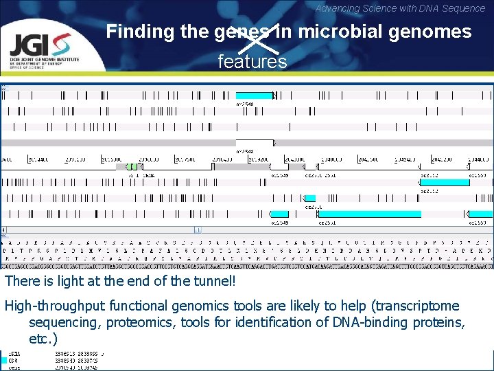 Advancing Science with DNA Sequence Finding the genes in microbial genomes features Well-annotated bacterial