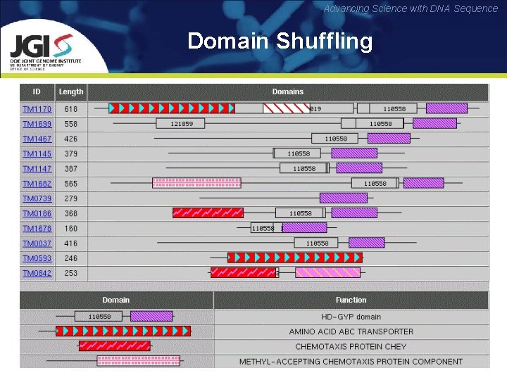 Advancing Science with DNA Sequence Domain Shuffling 