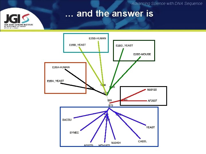 Advancing Science with DNA Sequence … and the answer is 