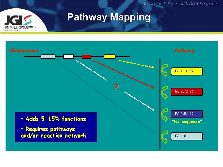 Advancing Science with DNA Sequence Pathway Mapping Chromosome Pathway EC 1. 1. 1. 25