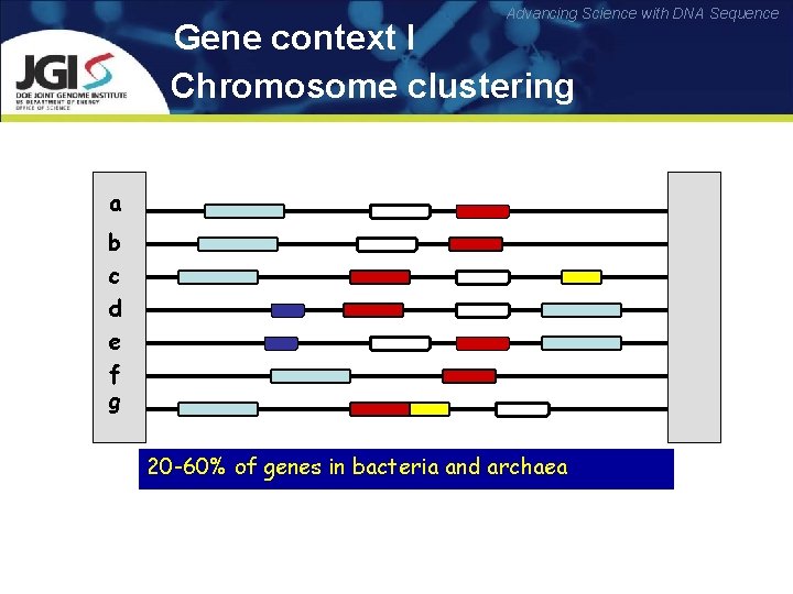 Advancing Science with DNA Sequence Gene context I Chromosome clustering Genome a b c