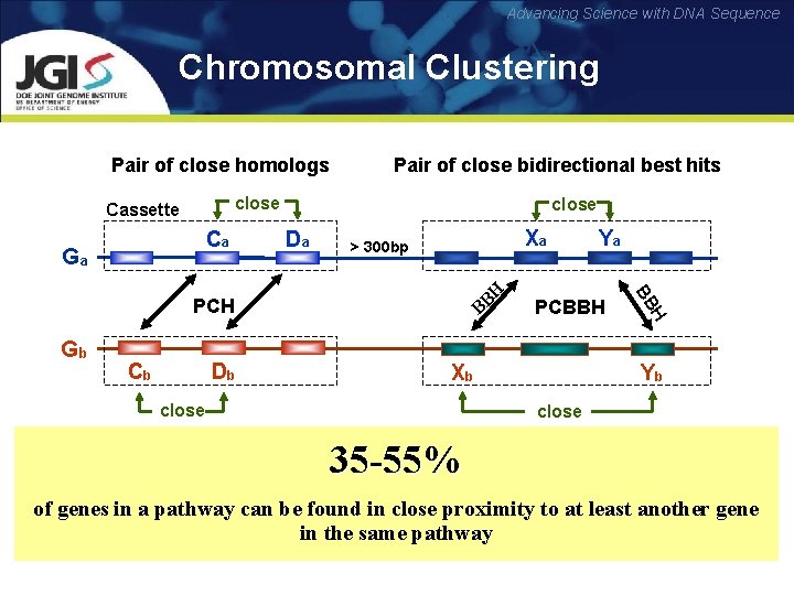 Advancing Science with DNA Sequence Chromosomal Clustering Pair of close homologs Pair of close
