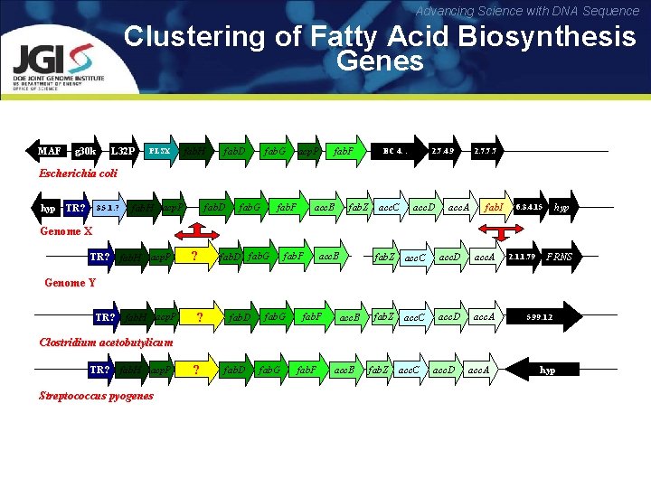 Advancing Science with DNA Sequence Clustering of Fatty Acid Biosynthesis Genes MAF g 30