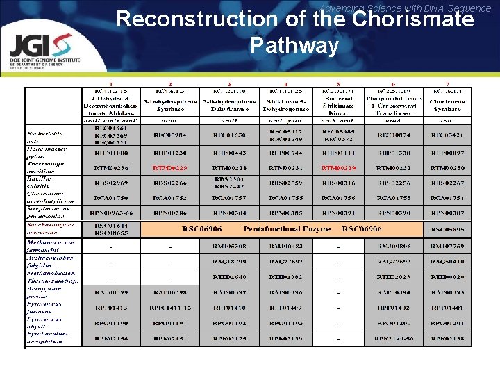 Advancing Science with DNA Sequence Reconstruction of the Chorismate Pathway 