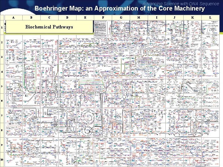 Advancing Science with DNA Sequence Boehringer Map: an Approximation of the Core Machinery A