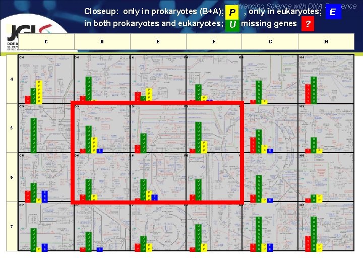 Advancing Science with DNA Sequence Closeup: only in prokaryotes (B+A); P , only in