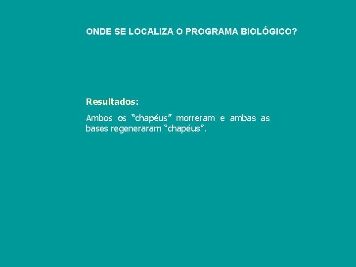 ONDE SE LOCALIZA O PROGRAMA BIOLÓGICO? Resultados: Ambos os “chapéus” morreram e ambas as