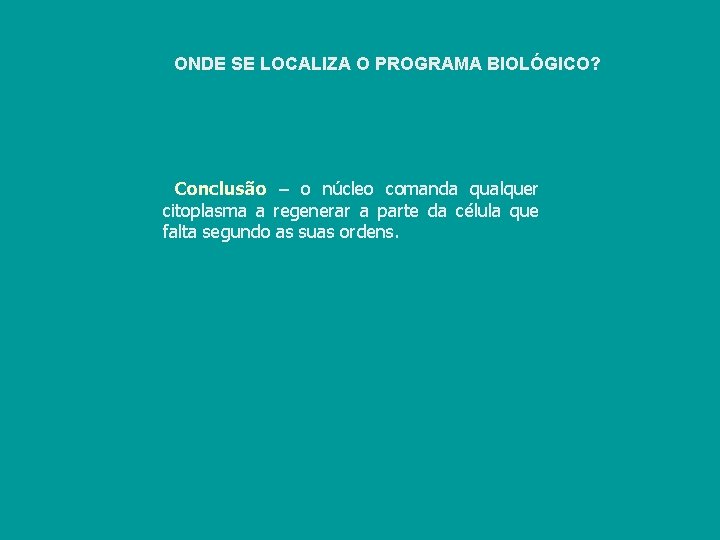 ONDE SE LOCALIZA O PROGRAMA BIOLÓGICO? Conclusão – o núcleo comanda qualquer citoplasma a