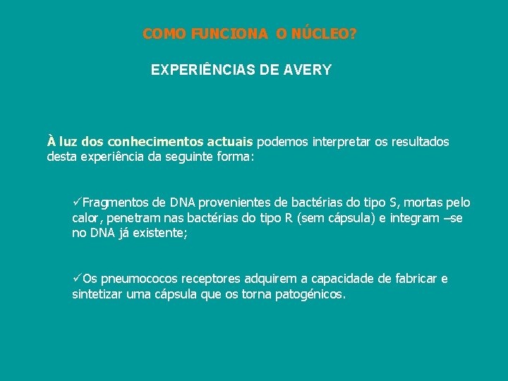 COMO FUNCIONA O NÚCLEO? EXPERIÊNCIAS DE AVERY À luz dos conhecimentos actuais podemos interpretar