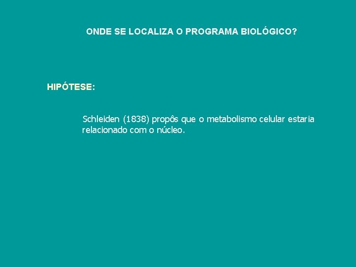 ONDE SE LOCALIZA O PROGRAMA BIOLÓGICO? HIPÓTESE: Schleiden (1838) propôs que o metabolismo celular