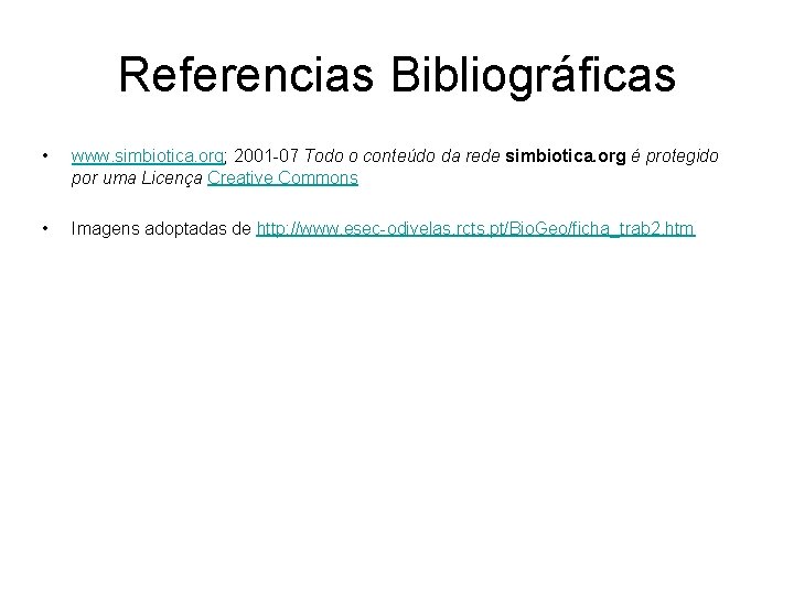 Referencias Bibliográficas • www. simbiotica. org; 2001 -07 Todo o conteúdo da rede simbiotica.