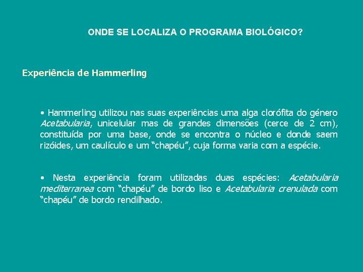 ONDE SE LOCALIZA O PROGRAMA BIOLÓGICO? Experiência de Hammerling • Hammerling utilizou nas suas