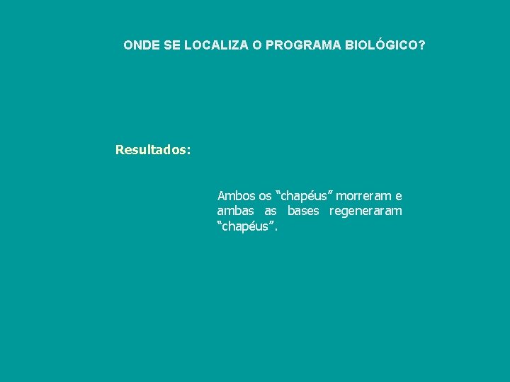 ONDE SE LOCALIZA O PROGRAMA BIOLÓGICO? Resultados: Ambos os “chapéus” morreram e ambas as