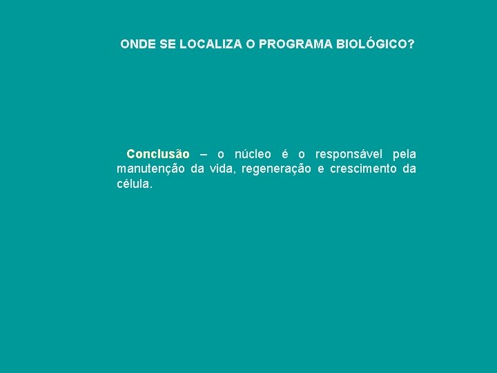 ONDE SE LOCALIZA O PROGRAMA BIOLÓGICO? Conclusão – o núcleo é o responsável pela