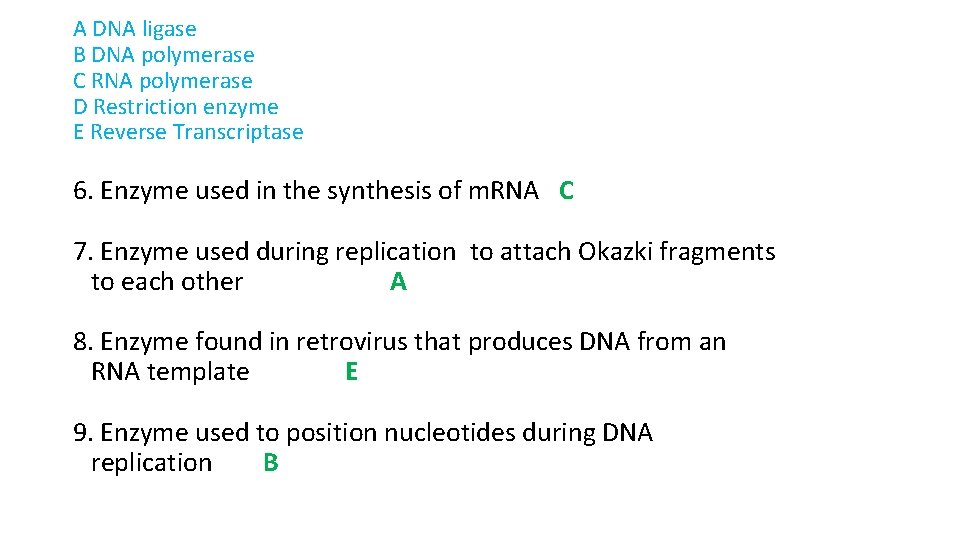 A DNA ligase B DNA polymerase C RNA polymerase D Restriction enzyme E Reverse