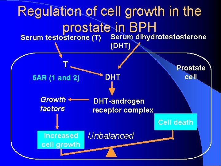 Regulation of cell growth in the prostate in BPH Serum dihydrotestosterone Serum testosterone (T)