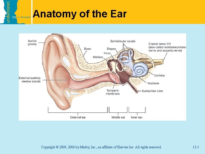 Anatomy of the Ear Copyright © 2009, 2006 by Mosby, Inc. , an affiliate
