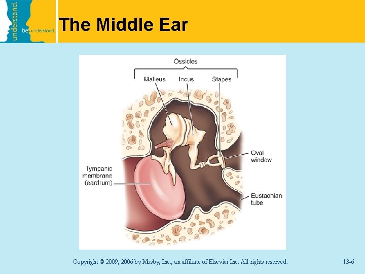 The Middle Ear Copyright © 2009, 2006 by Mosby, Inc. , an affiliate of