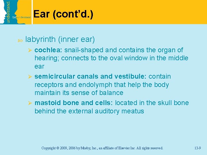 Ear (cont’d. ) labyrinth (inner ear) cochlea: snail-shaped and contains the organ of hearing;