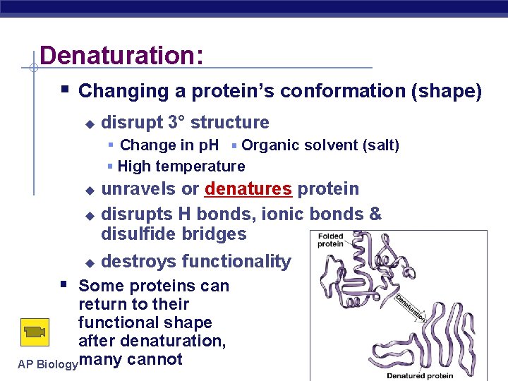 Denaturation: Changing a protein’s conformation (shape) disrupt 3° structure Change in p. H Organic Denaturation: Changing a protein’s conformation (shape) disrupt 3° structure Change in p. H Organic