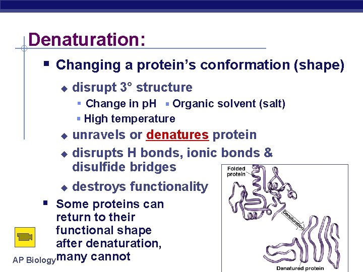 Denaturation: Changing a protein’s conformation (shape) disrupt 3° structure Change in p. H Organic