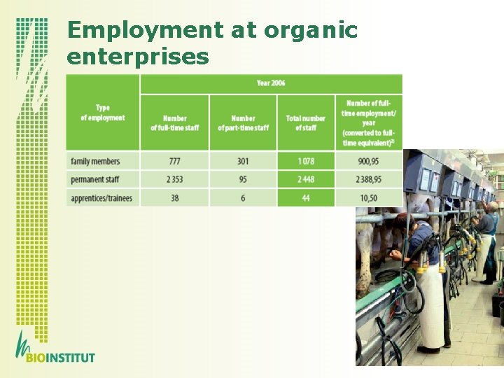 Employment at organic enterprises 
