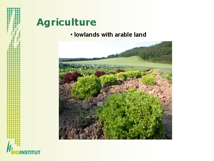Agriculture • lowlands with arable land 