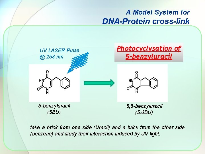 A Model System for DNA-Protein cross-link UV LASER Pulse @ 258 nm 5 -benzyluracil