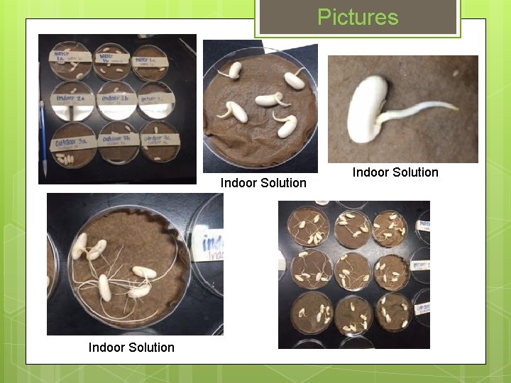 Pictures Indoor Solution 