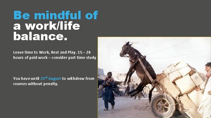 Be mindful of a work/life balance. Leave time to Work, Rest and Play. 15