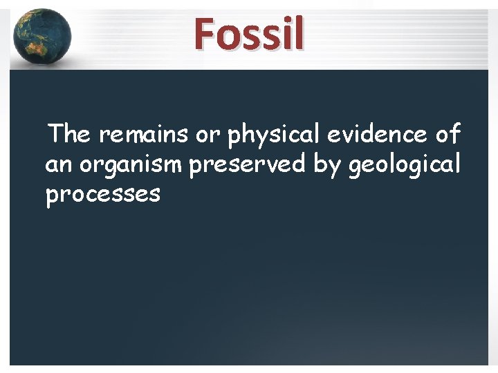 Fossil The remains or physical evidence of an organism preserved by geological processes 