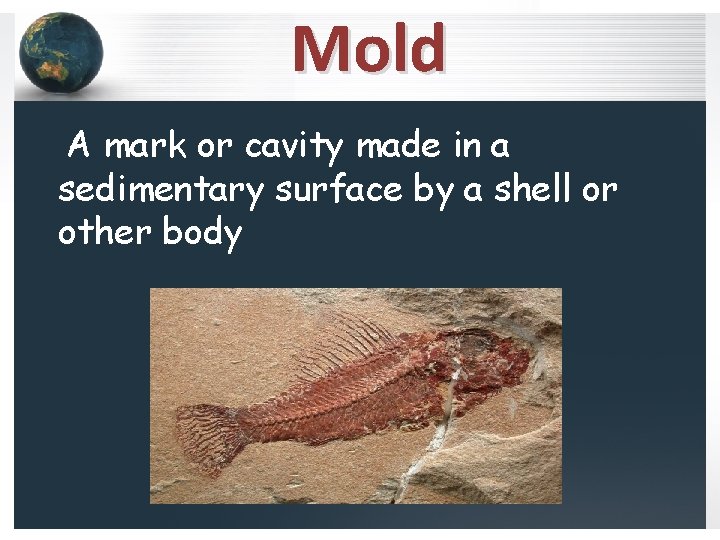 Mold A mark or cavity made in a sedimentary surface by a shell or