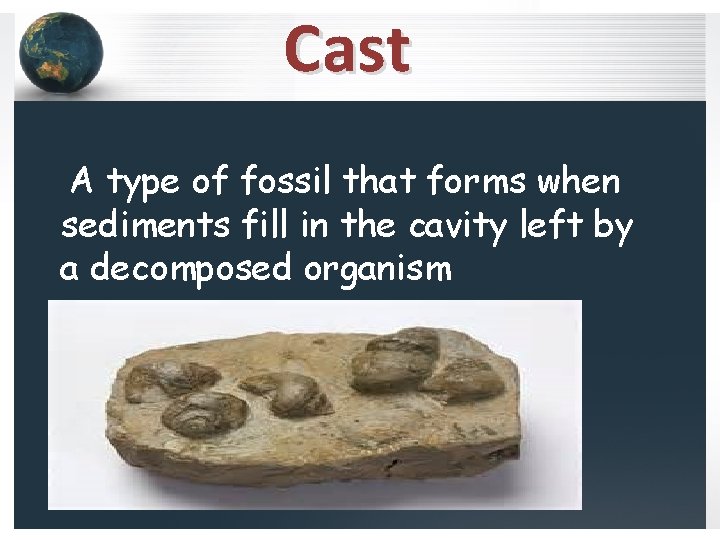 Cast A type of fossil that forms when sediments fill in the cavity left