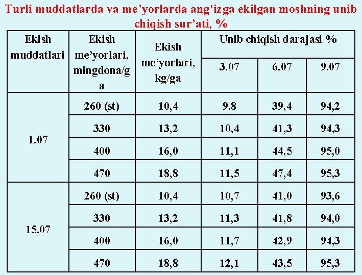 Turli muddatlarda va me’yorlarda ang‘izga ekilgan moshning unib chiqish sur’ati, % Ekish muddatlari me’yorlari,