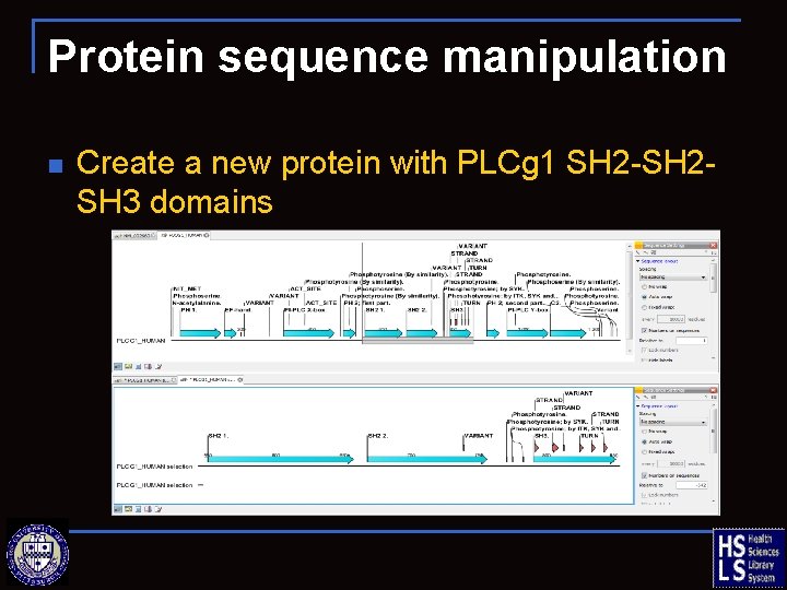 Protein sequence manipulation n Create a new protein with PLCg 1 SH 2 -SH