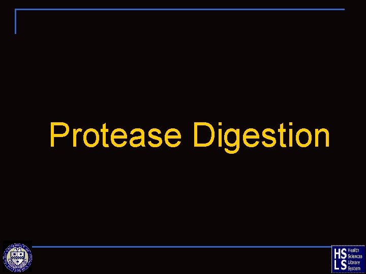 Protease Digestion 