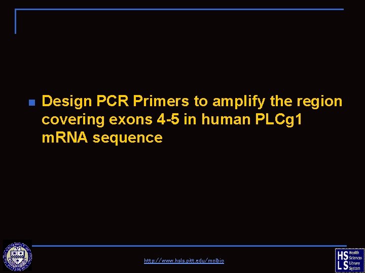 n Design PCR Primers to amplify the region covering exons 4 -5 in human
