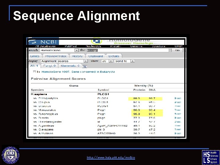 Sequence Alignment http: //www. hsls. pitt. edu/molbio 