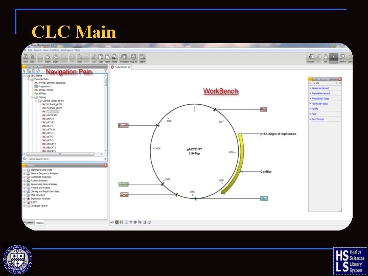 CLC Main 